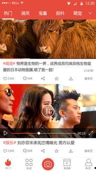 最新爆料热门视频下载,最新爆料带你一探究竟 第2张 最新爆料热门视频下载,最新爆料带你一探究竟 第2张