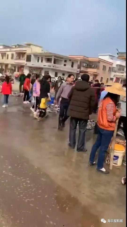 海丰爆料最新情况视频,视频揭露惊人内幕  第2张